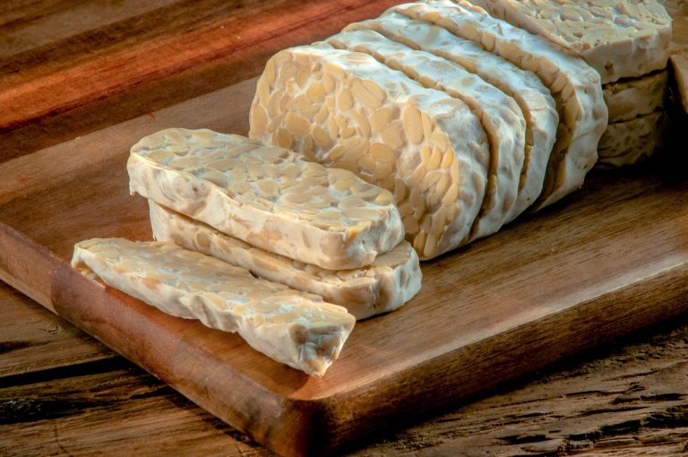 tempeh workshop wateetons