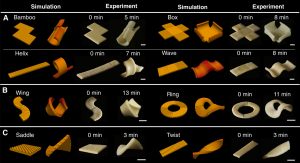 3d-pasta